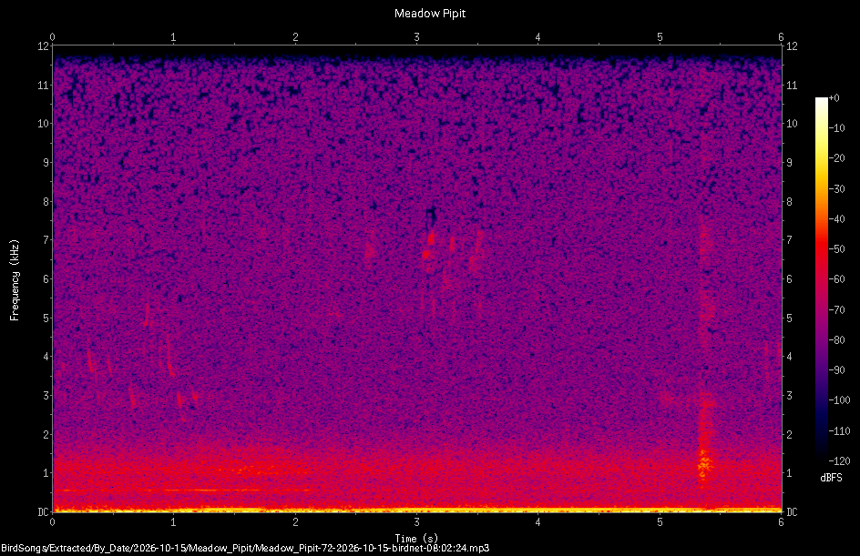 Spectrogram of a Meadow Pipit recorded at 08:02:24