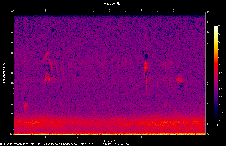 Spectrogram of a Meadow Pipit recorded at 10:15:53