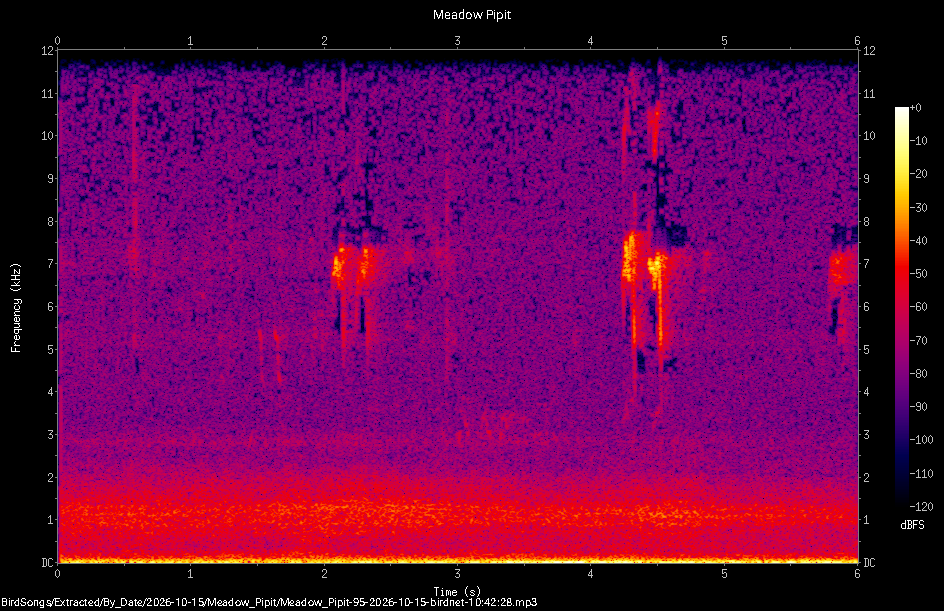 Spectrogram of a Meadow Pipit recorded at 10:42:28