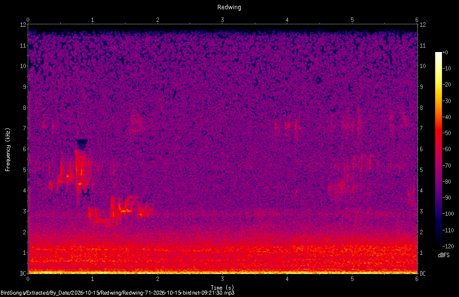 Spectrogram of a Redwing recorded at 09:21:30