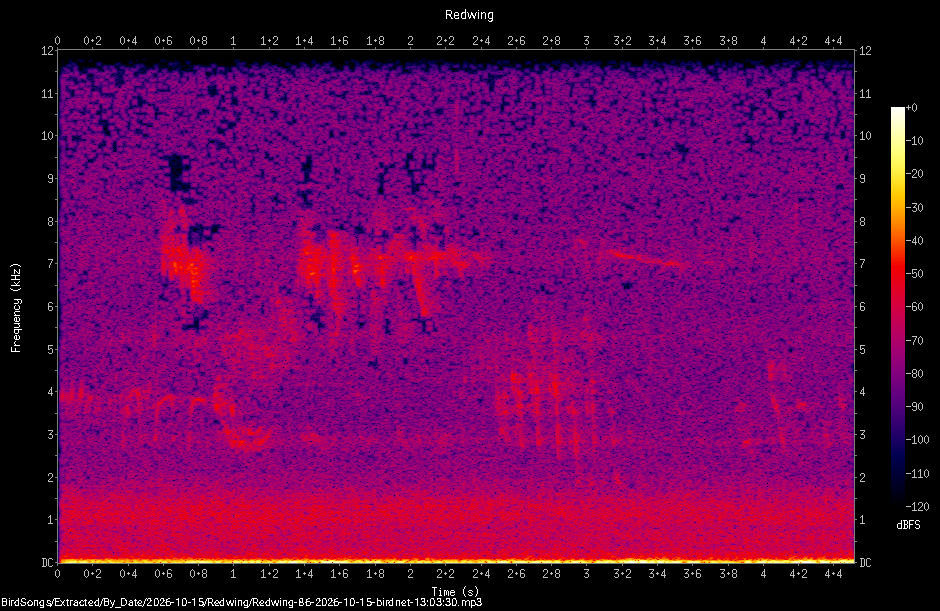 Spectrogram of a Redwing recorded at 13:03:30