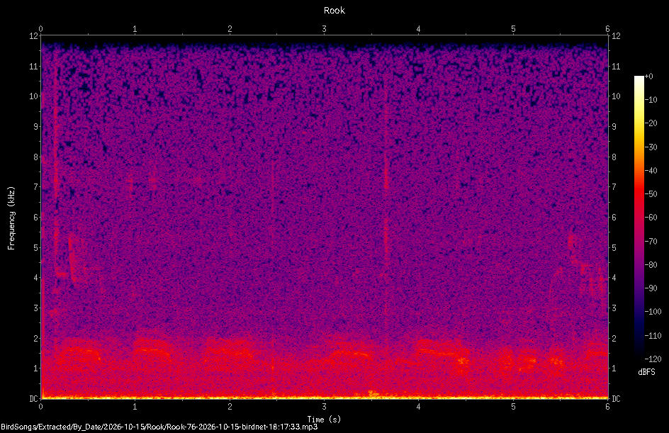 Spectrogram of a Rook recorded at 18:17:33