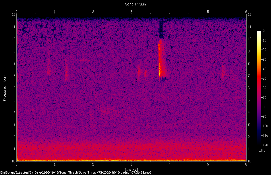 Spectrogram of a Song Thrush recorded at 07:36:28