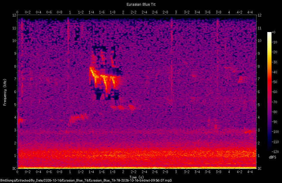 Spectrogram of a Eurasian Blue Tit recorded at 09:56:07