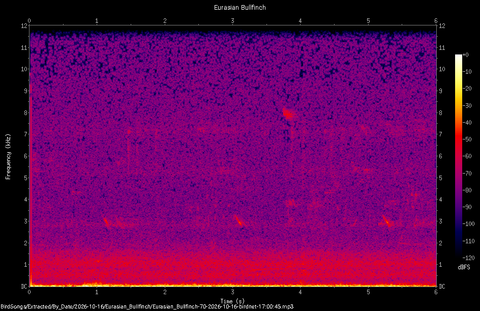Spectrogram of a Eurasian Bullfinch recorded at 17:00:45