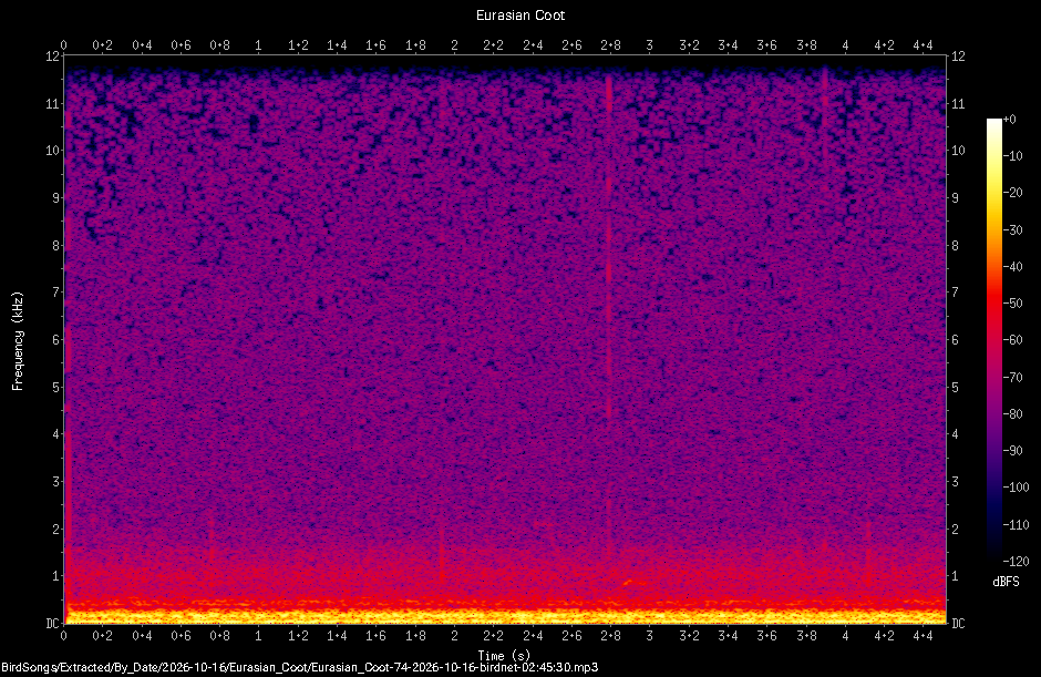 Spectrogram of a Eurasian Coot recorded at 02:45:30