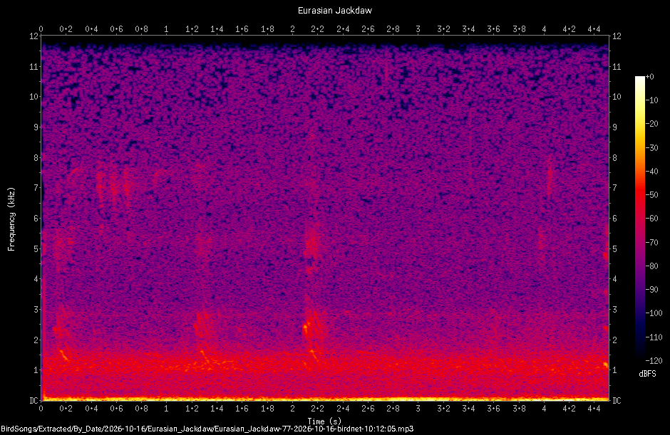 Spectrogram of a Eurasian Jackdaw recorded at 10:12:05