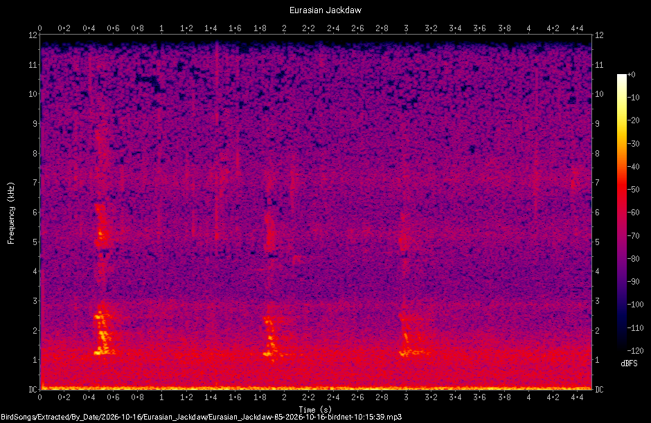 Spectrogram of a Eurasian Jackdaw recorded at 10:15:39