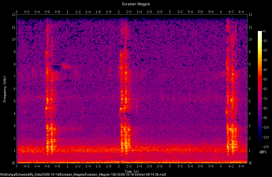 Spectrogram of a Eurasian Magpie recorded at 08:14:26