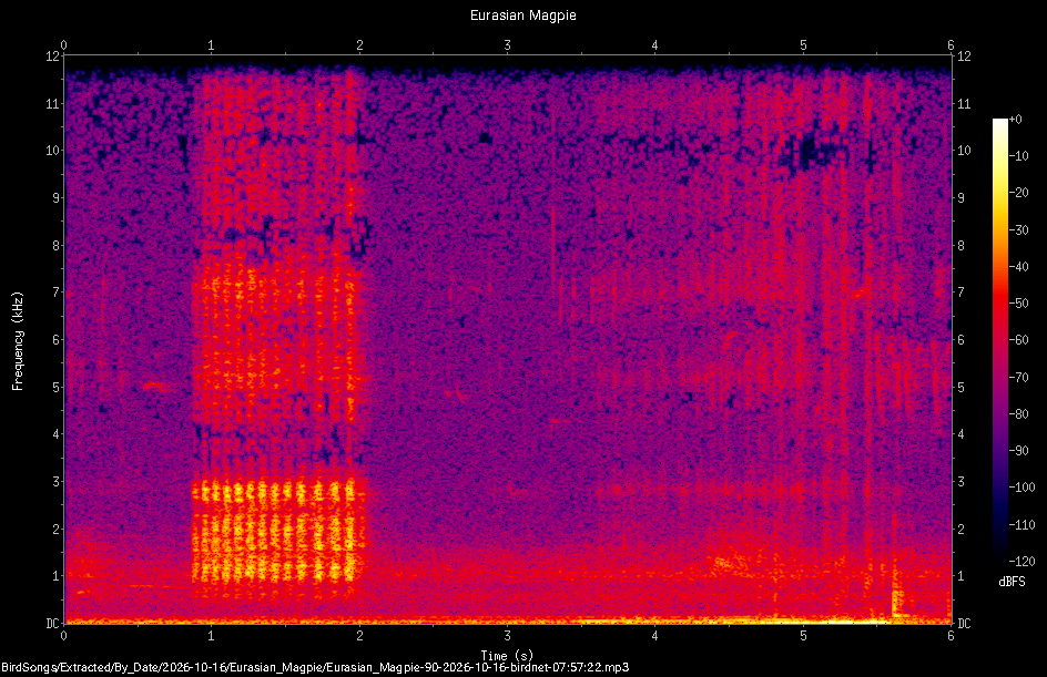 Spectrogram of a Eurasian Magpie recorded at 07:57:22