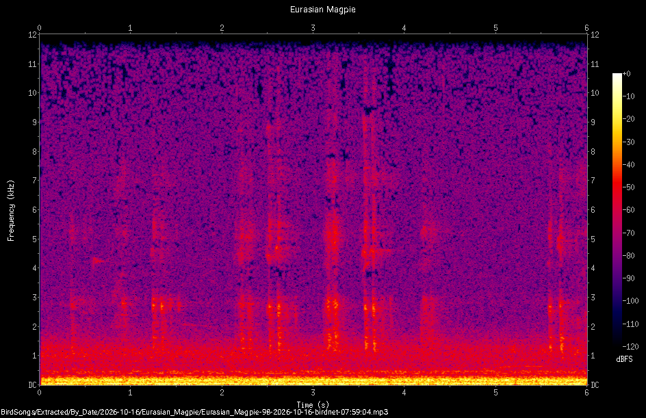 Spectrogram of a Eurasian Magpie recorded at 07:59:04