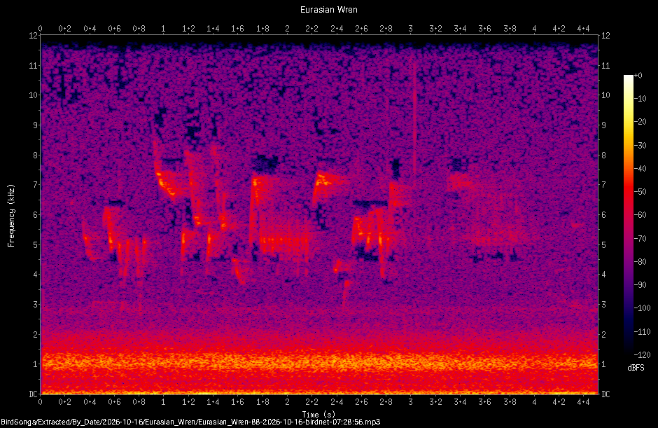 Spectrogram of a Eurasian Wren recorded at 07:28:56