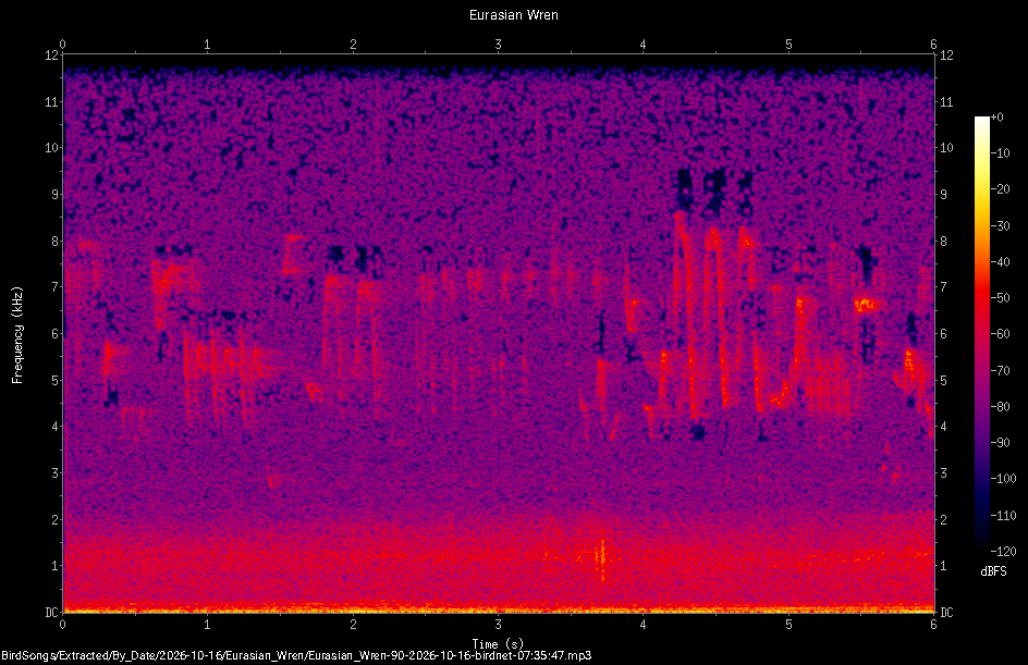 Spectrogram of a Eurasian Wren recorded at 07:35:47