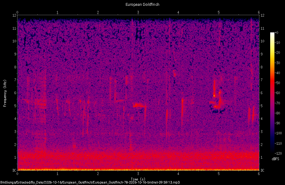 Spectrogram of a European Goldfinch recorded at 09:59:13