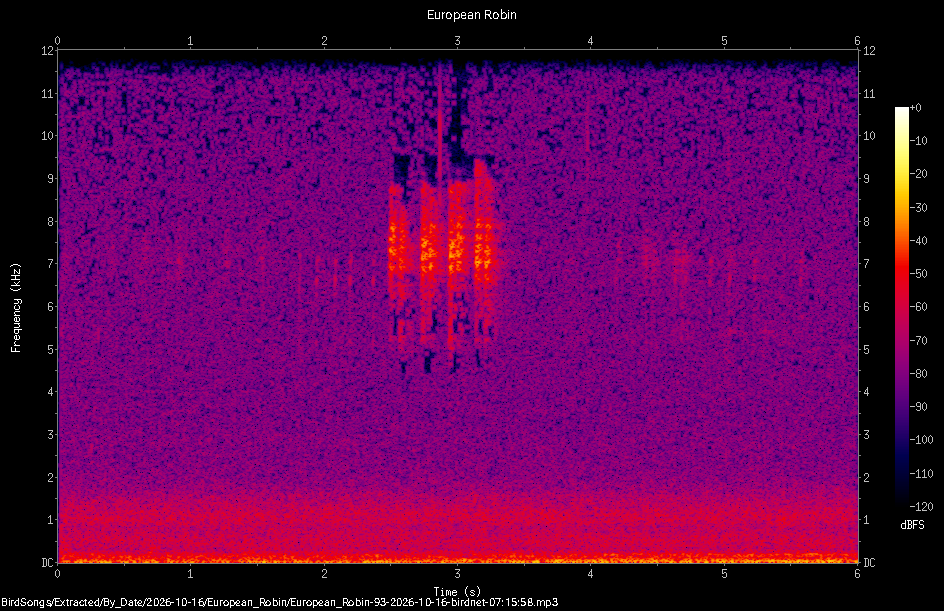 Spectrogram of a European Robin recorded at 07:15:58
