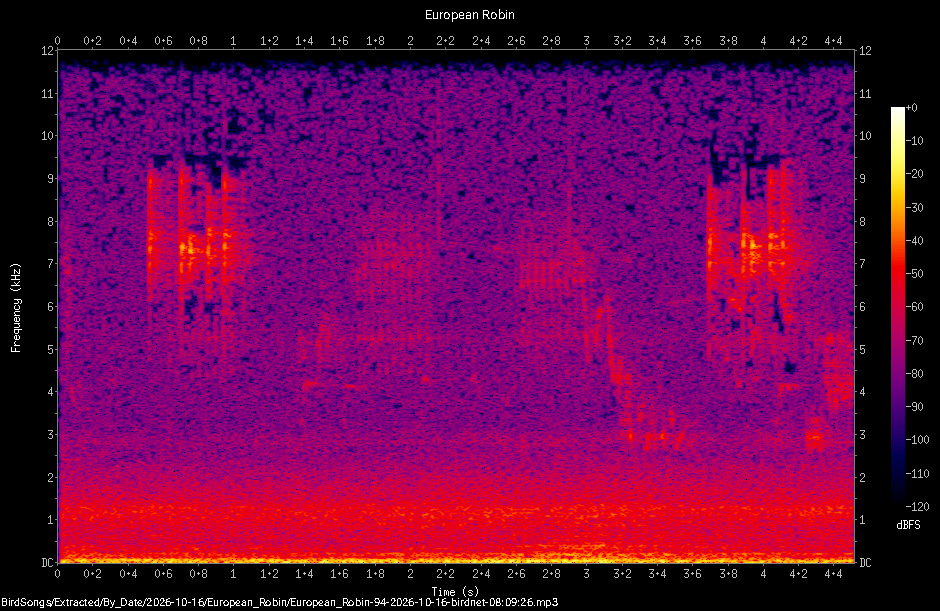 Spectrogram of a European Robin recorded at 08:09:26