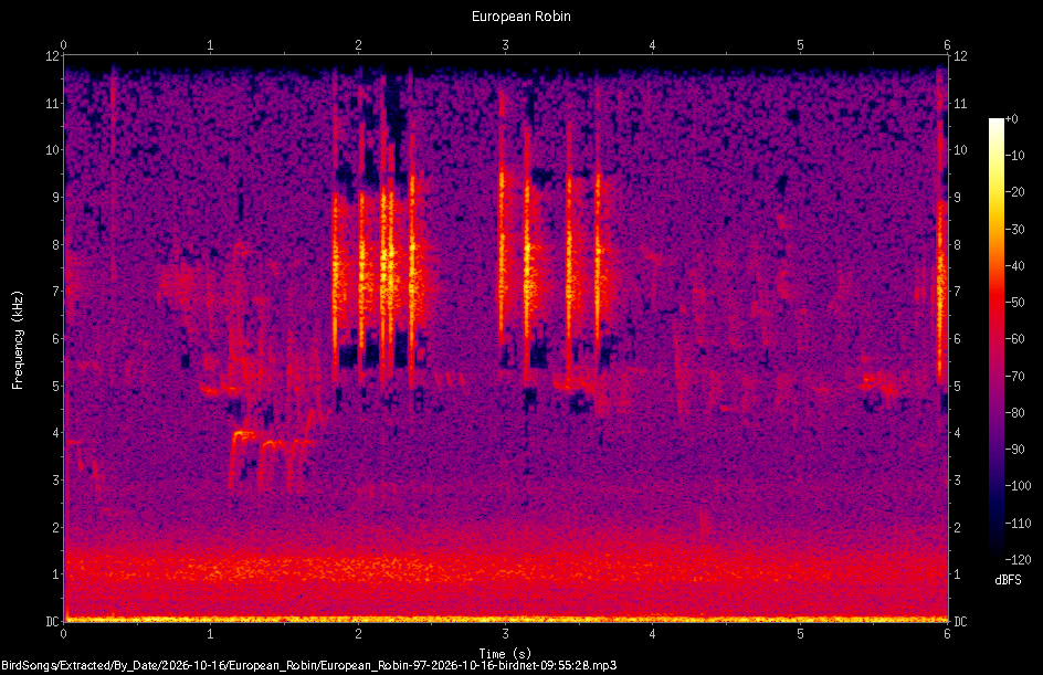 Spectrogram of a European Robin recorded at 09:55:28