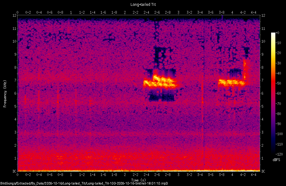 Spectrogram of a Long-tailed Tit recorded at 18:01:10