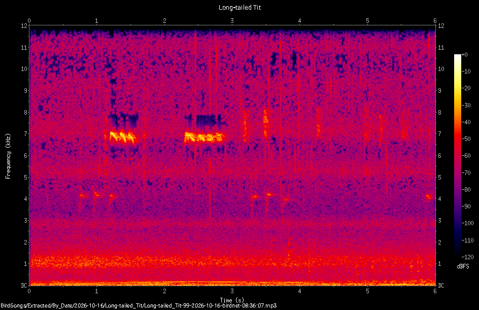 Spectrogram of a Long-tailed Tit recorded at 08:36:07