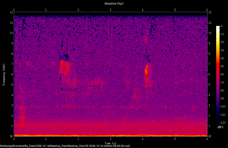 Spectrogram of a Meadow Pipit recorded at 08:25:03