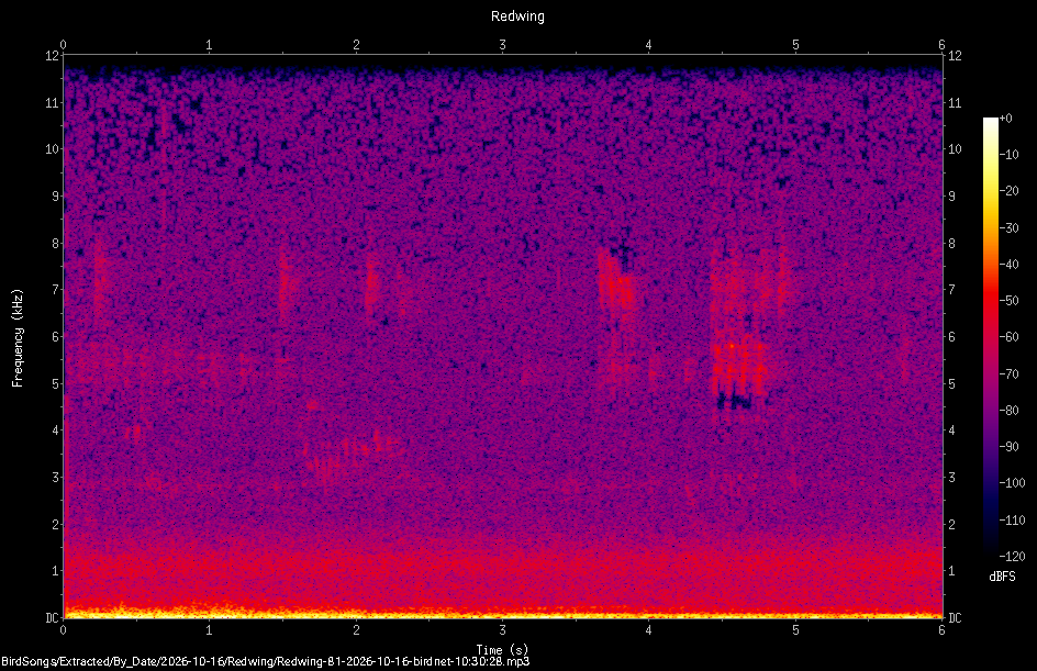 Spectrogram of a Redwing recorded at 10:30:28