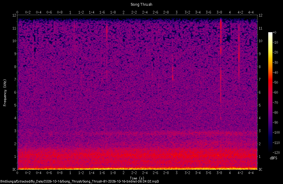 Spectrogram of a Song Thrush recorded at 06:24:02