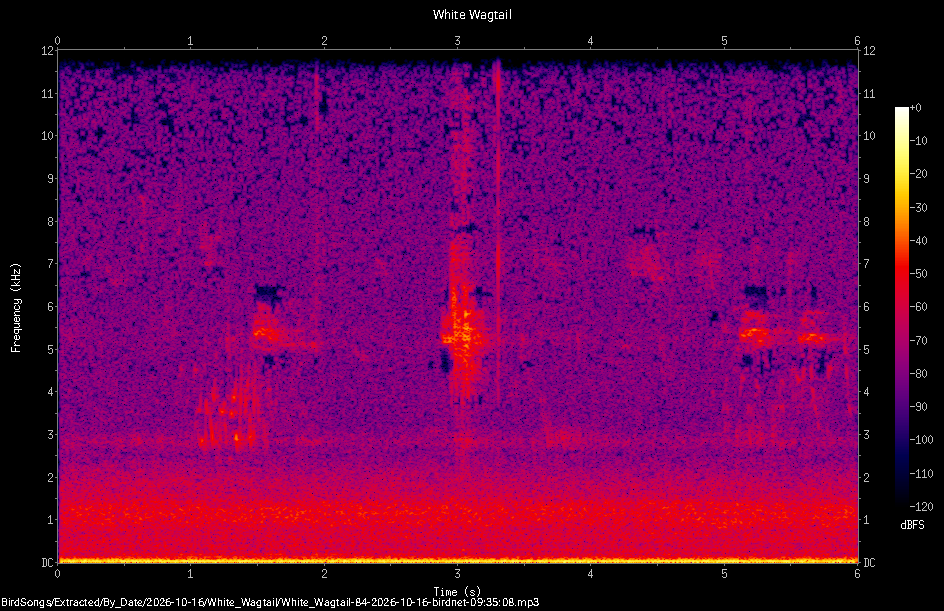 Spectrogram of a White Wagtail recorded at 09:35:08