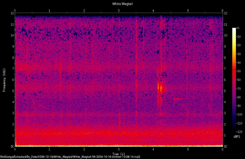 Spectrogram of a White Wagtail recorded at 10:08:14